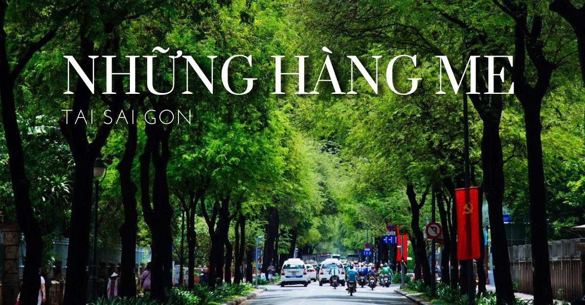 “Con đường có lá me bay” Thơ: Phạm Cao Phong