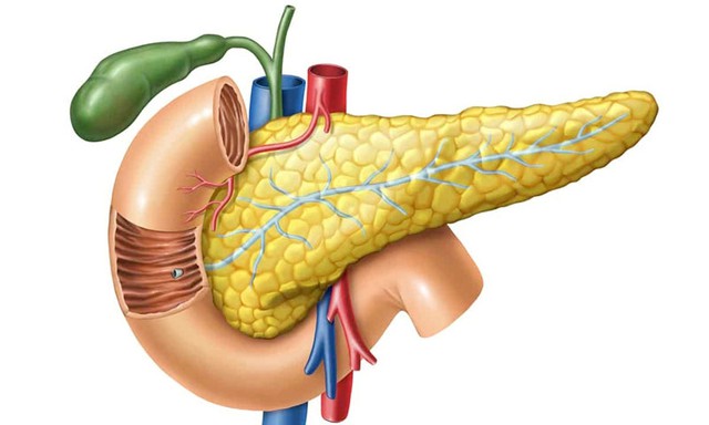 Bệnh viêm tụy xảy ra trong trường hợp các enzyme hỗ trợ tiêu hóa được kích hoạt trước khi tuyến tụy giải phóng chúng vào ruột non.