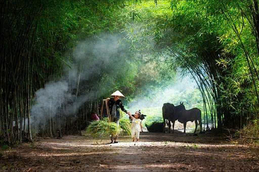 “Hát mừng ngày hội đồng hương” - Thơ: Hoàng Đại Nhân